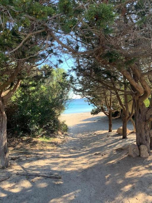 DomoMea Apartment - Ferienwohnung Sarroch