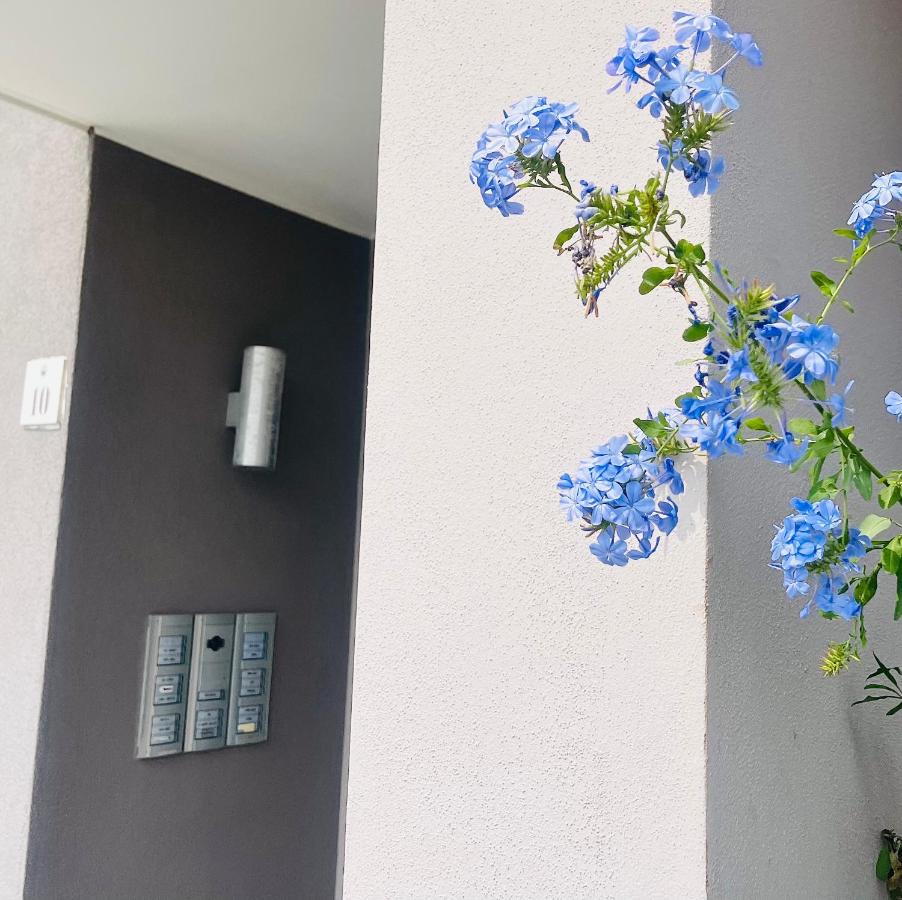 Mirò Art Room Apartment - B&B Alghero