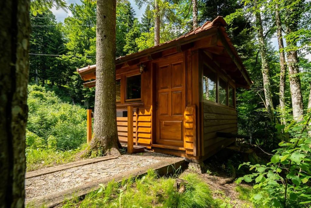 Forest Amerika - Ivcakova koliba - B&B