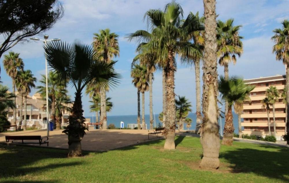 Nice bungalow La Mata with sea views - Bed and Breakfast