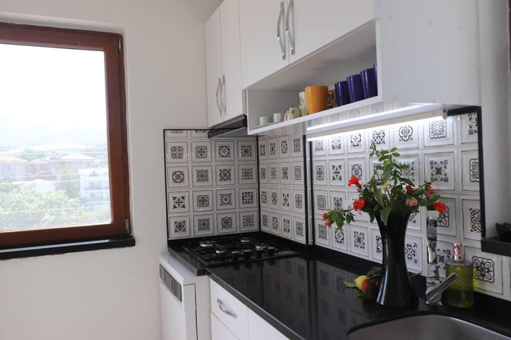 Blackwood Flava Cora - B&B Datça