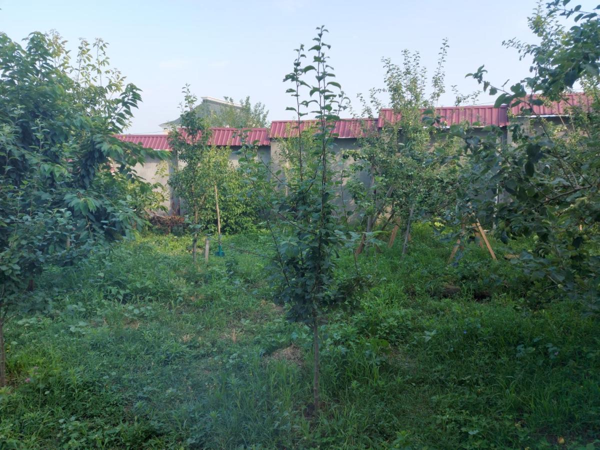 SUNRISE Guest House - B&B