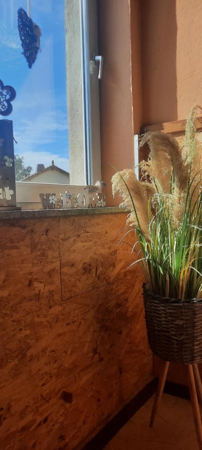 Gaststätte und Pension Zur Schiene - Ferienwohnung