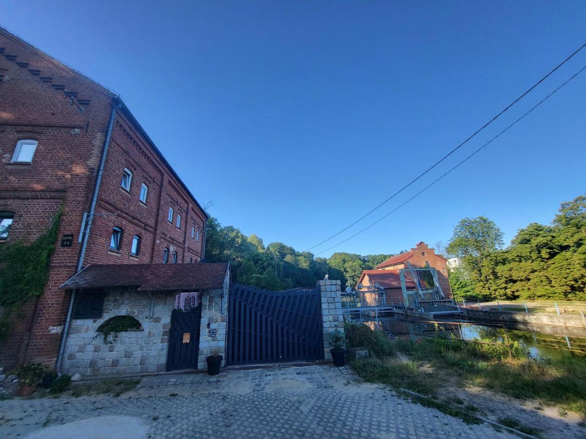 Krzywa Apartamenty - B&B