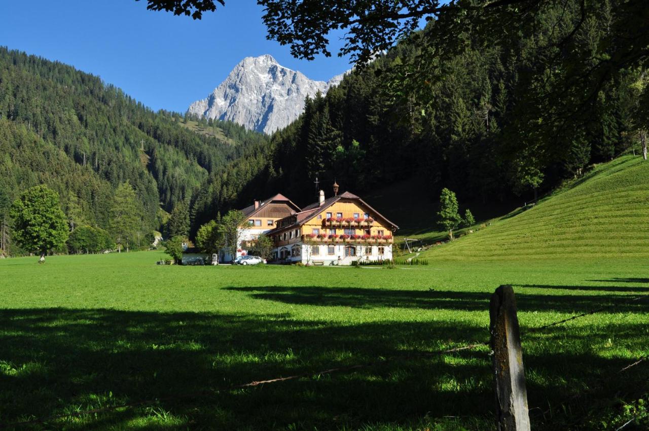 B&B Ramsau am Dachstein - Pension Glöshof - Bed and Breakfast Ramsau am Dachstein