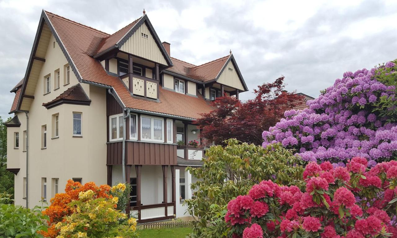 ArtHouse Lilienstein - Ferienwohnung