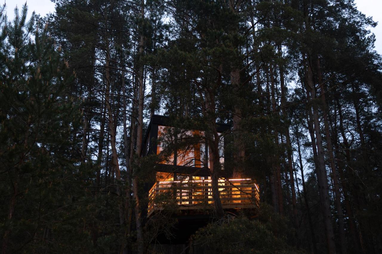 Treehouse Virš Bedugnės - Ferienwohnung