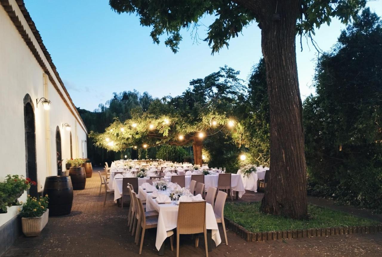 L'Antica Vigna - B&B Randazzo