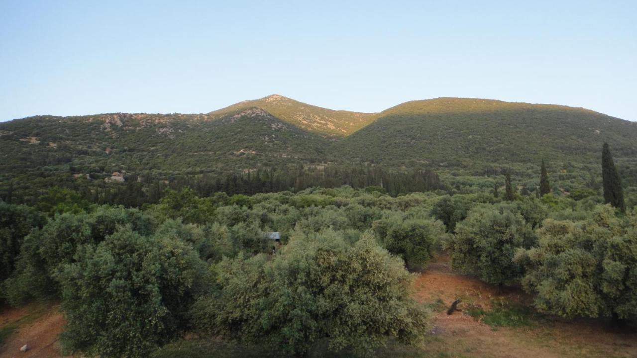 Marina Studios - B&B Sami