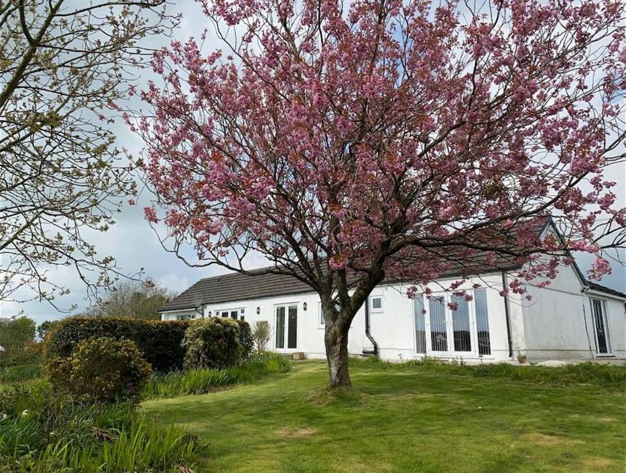 Panoramic tranquility - Chambres d’hôtes Llanfairpwllgwyngyllgogerychwyrndrobwllllantysiliogogogoch