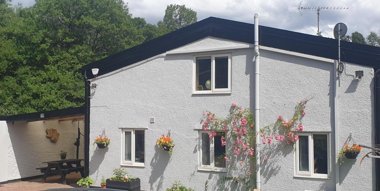 B&B Abergavenny - Quiet, countryside - Abergavenny, up to 4 guests, 2 bedrooms - Bed and Breakfast Abergavenny