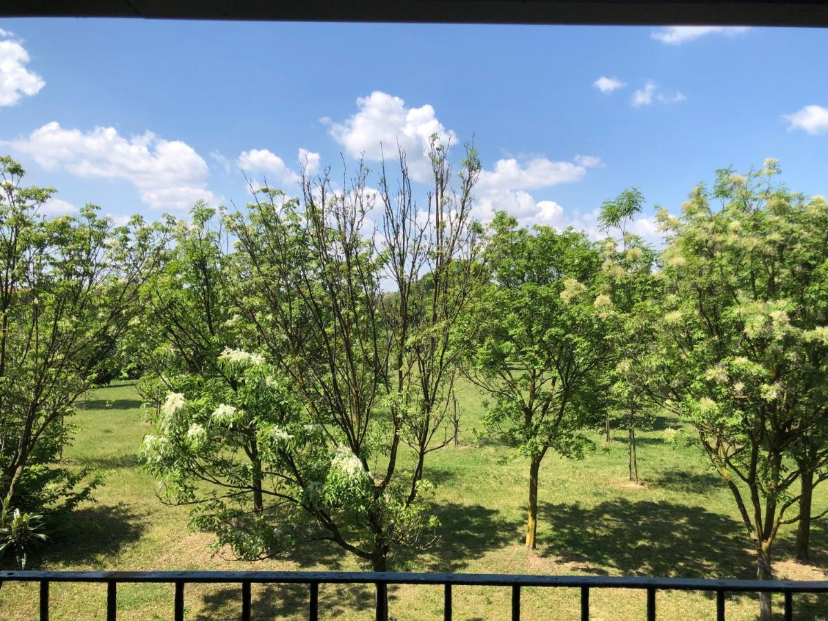 suite with terrace and loft with garden in Milan naviglio pavese - Chambres d'hôtes Milan