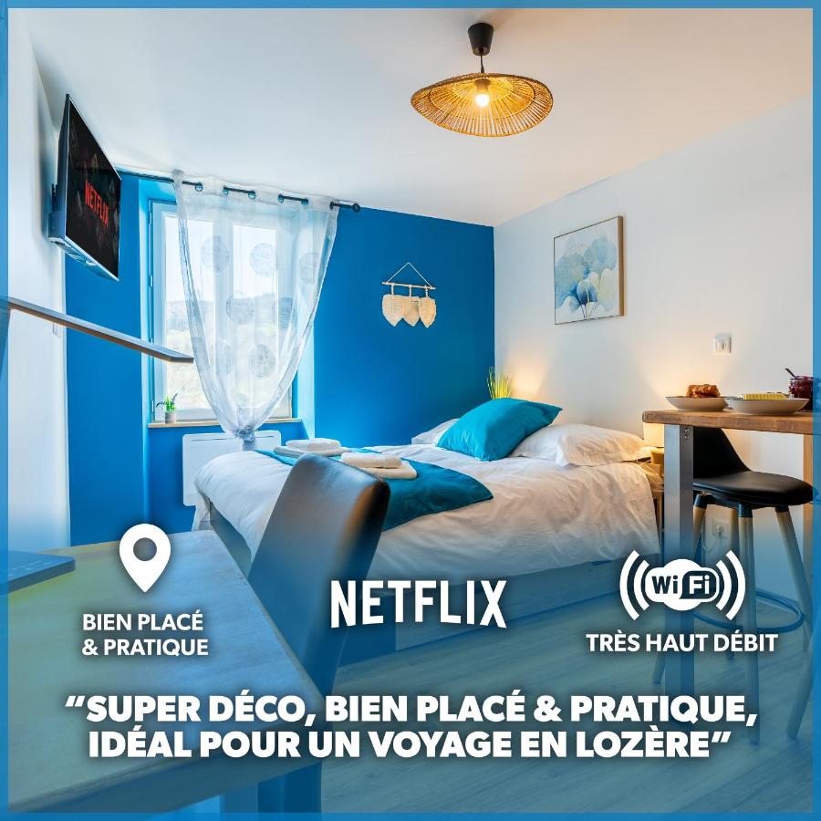 B&B Banassac - Le Roqueprins - Netflix/Wi-Fi Fibre/Terrasse - Bed and Breakfast Banassac