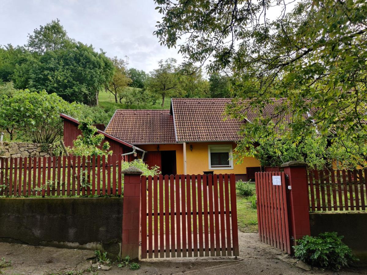 Csukavölgyi Apartman - B&B Visegrád