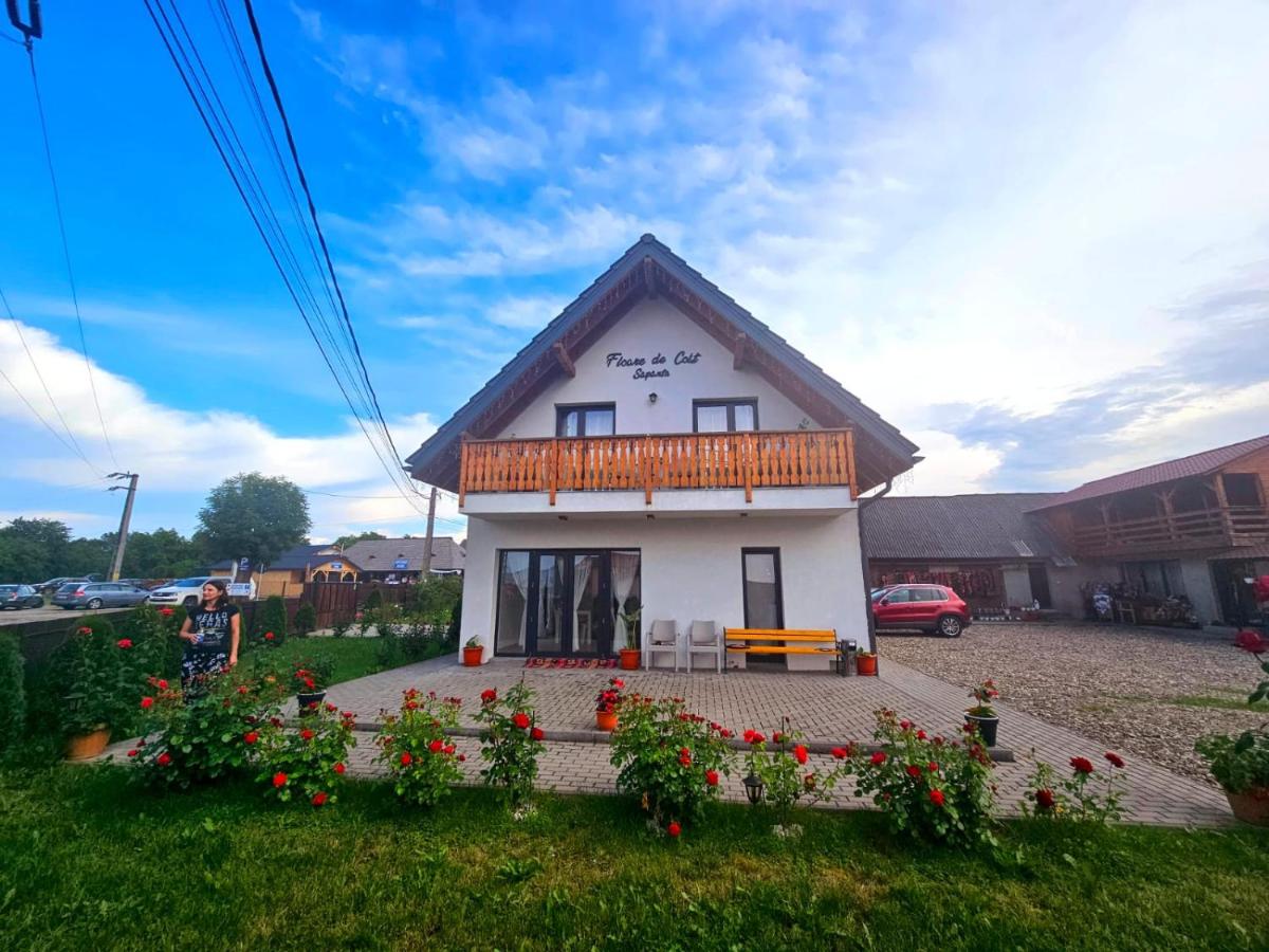 B&B Săpânţa - Floare de Colt Sapanta - Bed and Breakfast Săpânţa