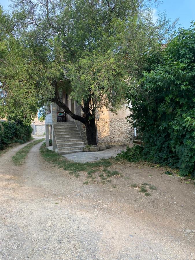 Maison à 20 min des plages de Sainte Maxime - B&B