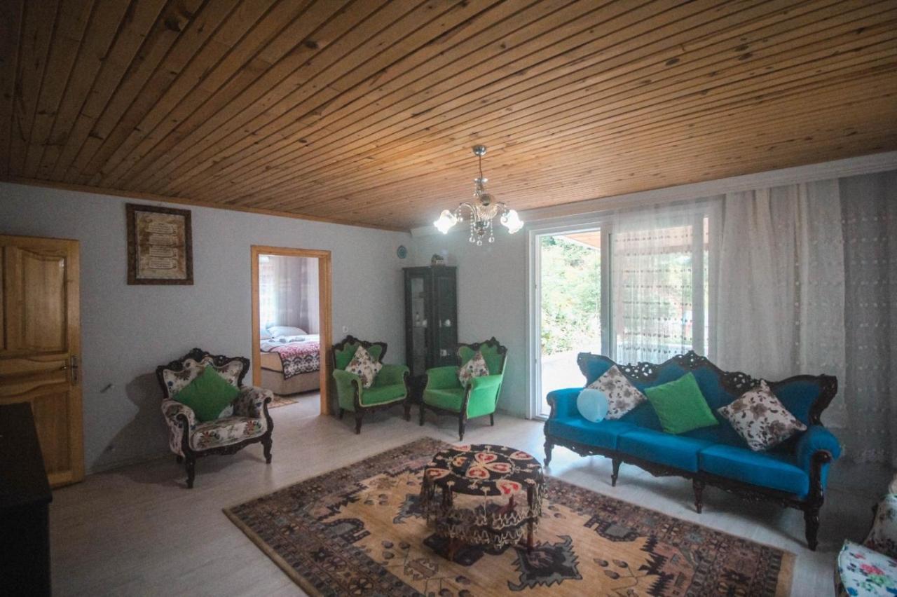 B&B Çamlıhemşin - Lelvani Apart - House for big families - Bed and Breakfast Çamlıhemşin