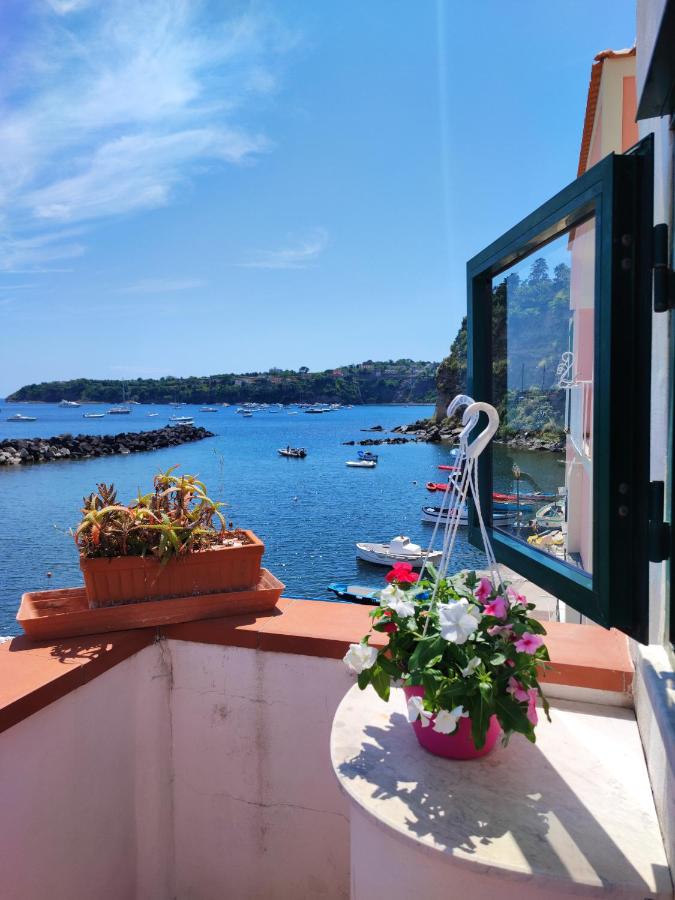 La casa di Nonna Rosa - B&B Procida