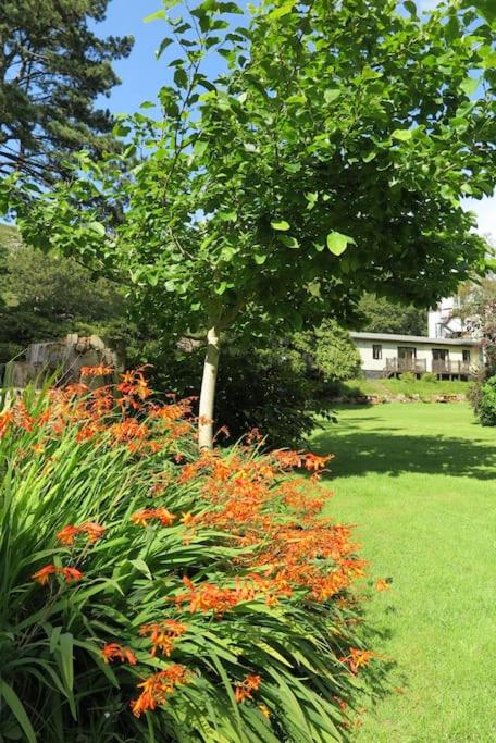 B&B Eskdale - The Chalets - Bed and Breakfast Eskdale