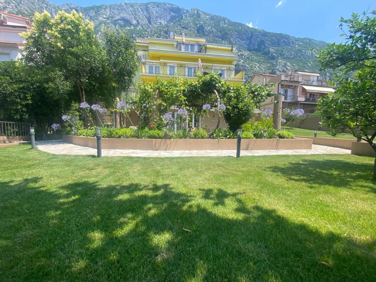 2montenegro MIMOZA Apartments - B&B