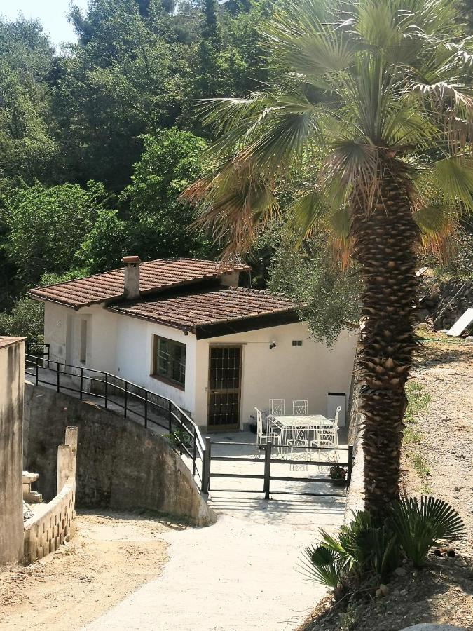 La casa degli Ulivi - Ferienwohnung
