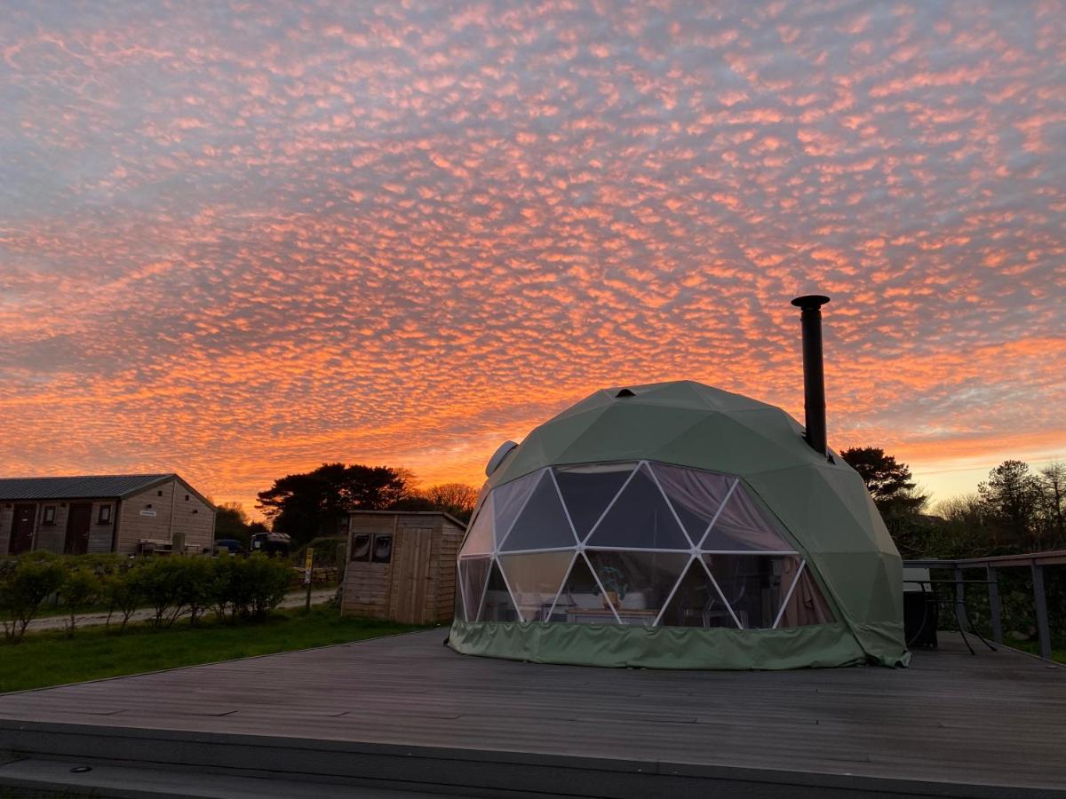 B&B Helston - Glamping Dome Elysian Fields - Bed and Breakfast Helston