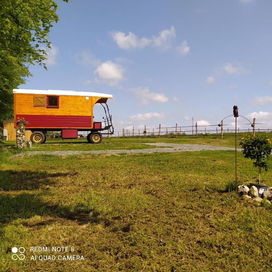 Véritable roulotte hippomobile "LA BAILLEUL" - Chambres d’hôtes