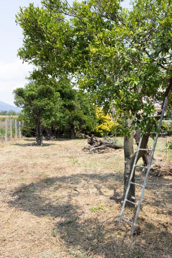 MARY Apartments - B&B Pompei