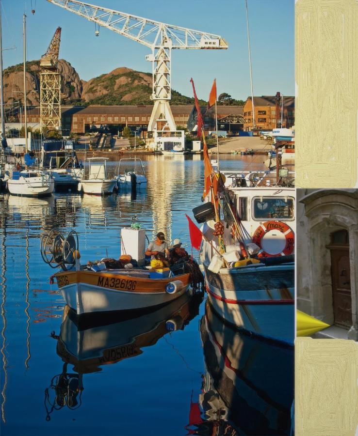 Grand appartement 4 couchages la Ciotat près de tout - Ferienwohnung La Ciotat