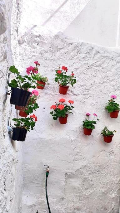 La Casa de los Tiles - B&B