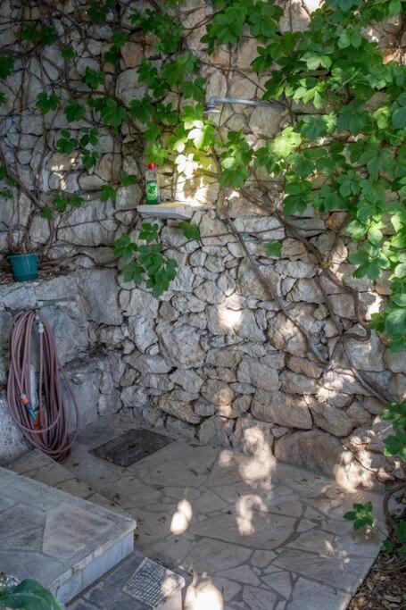 Dream house nearby the sea for family vacation - B&B Lokva Rogoznica