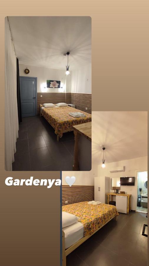 Family Double Room