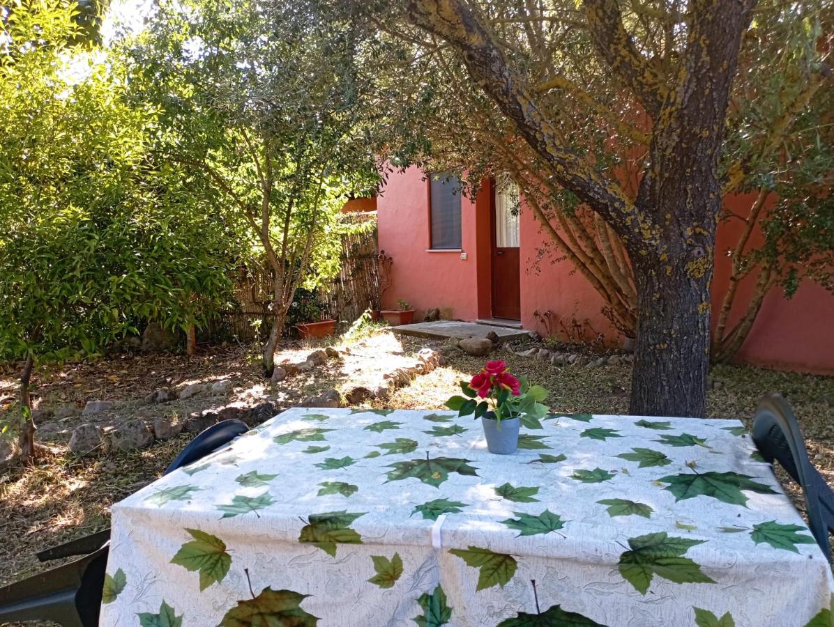 Monolocale con Vista Giardino