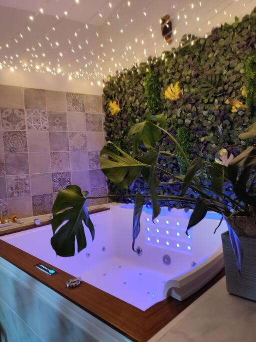 La Cabana Agréable logement avec Jacuzzi/Balnéo - Ferienwohnung