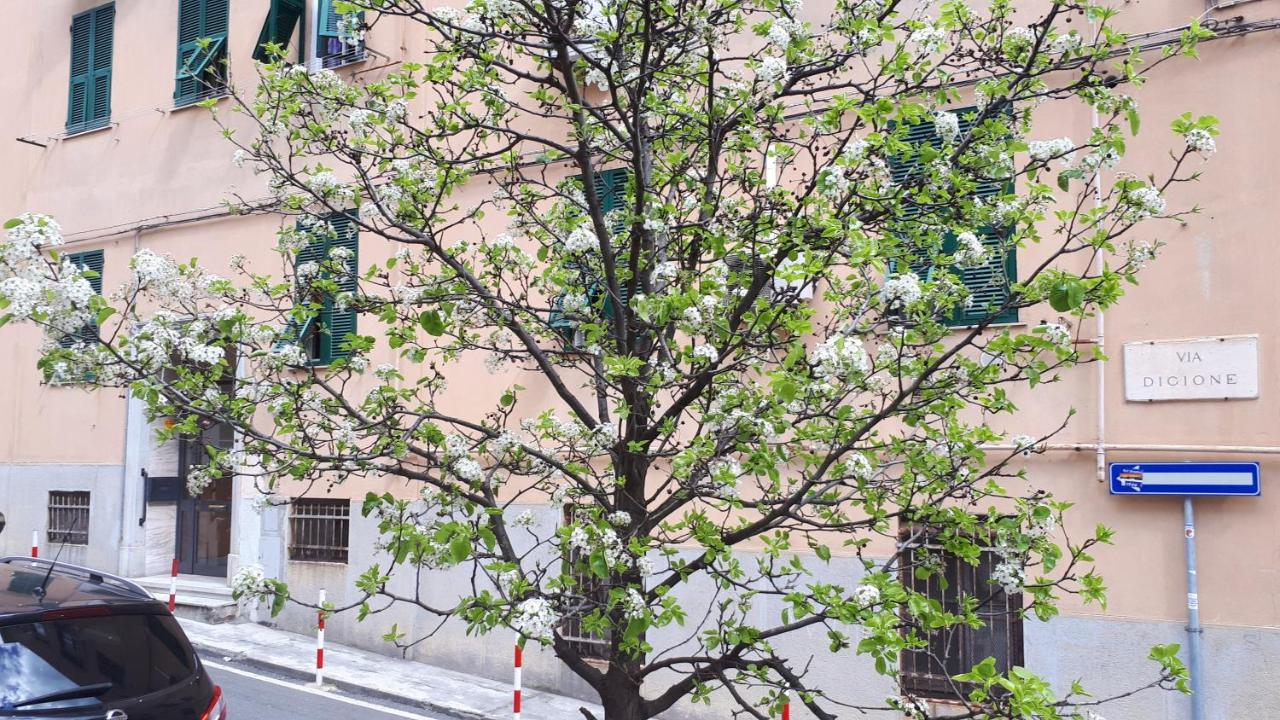 Ca'Sætta BnB Holiday home - Park & go to Genoa Aquarium and old town - B&B