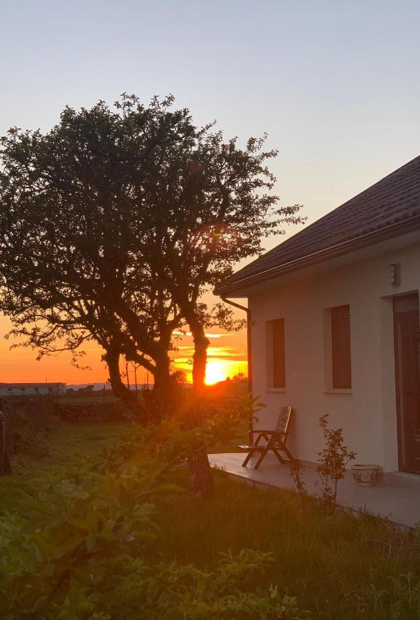 Casa Carvalhal do Esporão - B&B