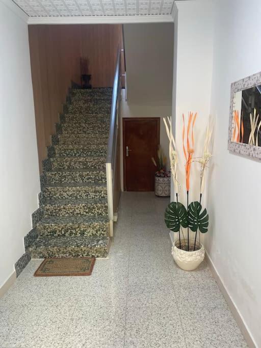 Gran piso 3 habitaciones - Chambres d’hôtes