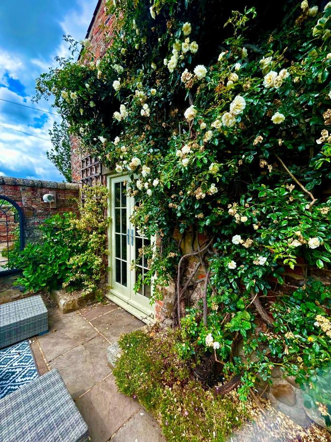 Tanyard Cottage - Whixley, York, North Yorkshire - B&B