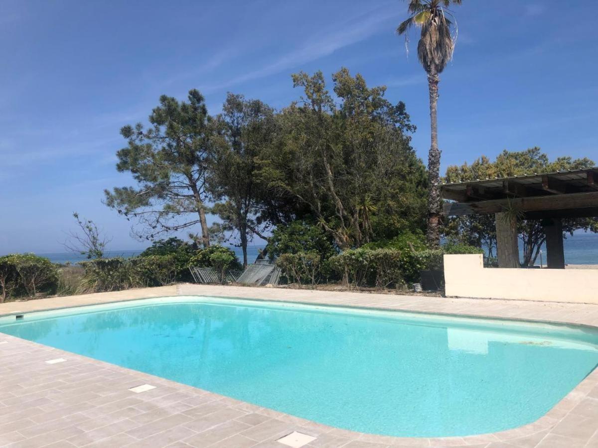 Grand studio les pieds dans l'eau - Ferienwohnung San-Nicolao
