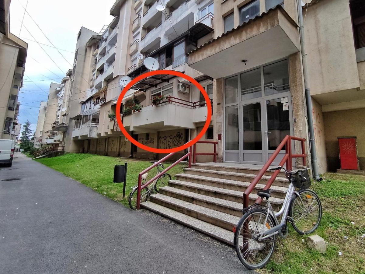 Businoski's Apartment - Ferienwohnung