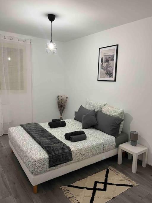 Appartement rénové - Vandoeuvre Lès Nancy - B&B