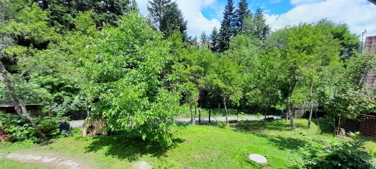 Drevenica Rybárie - B&B