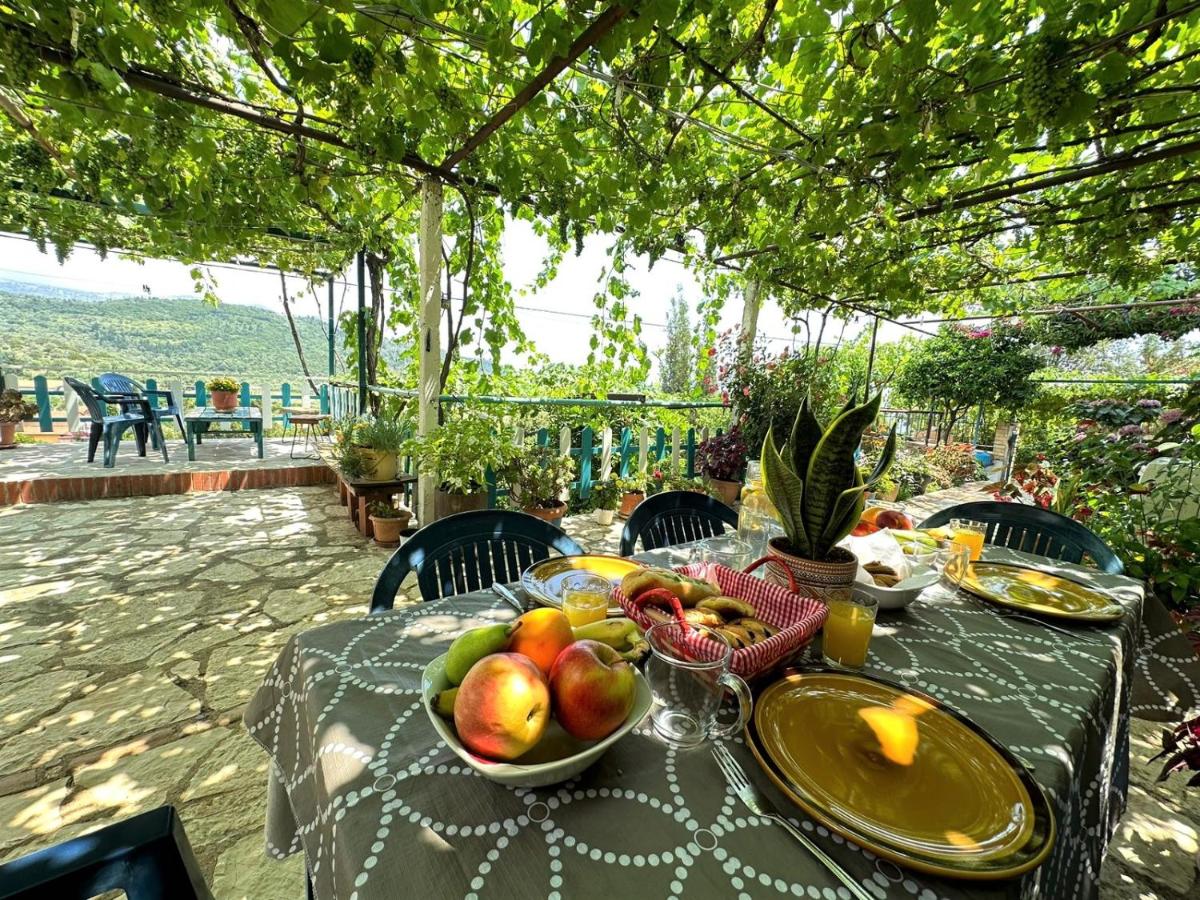 B&B Himarë - Boungainvillea - Bed and Breakfast Himarë