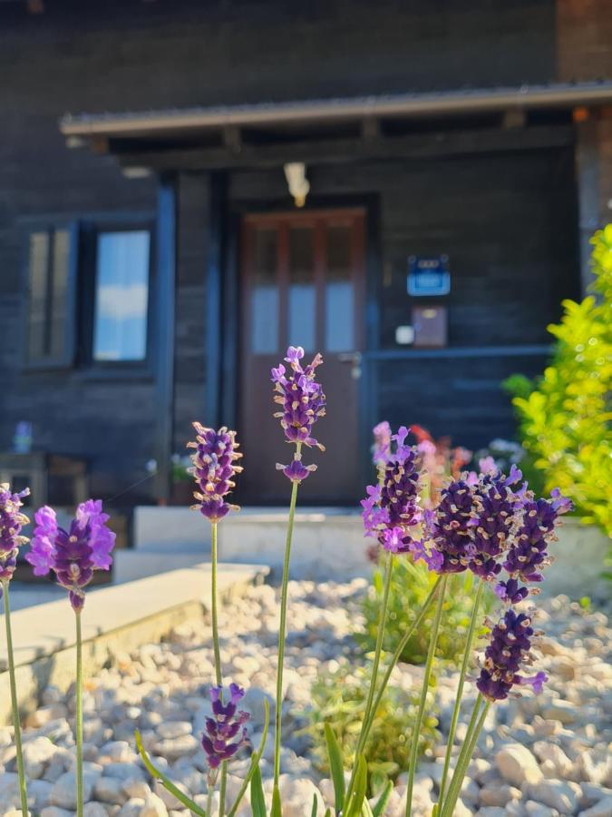 Kuća za odmor Hodak - Chambres d’hôtes