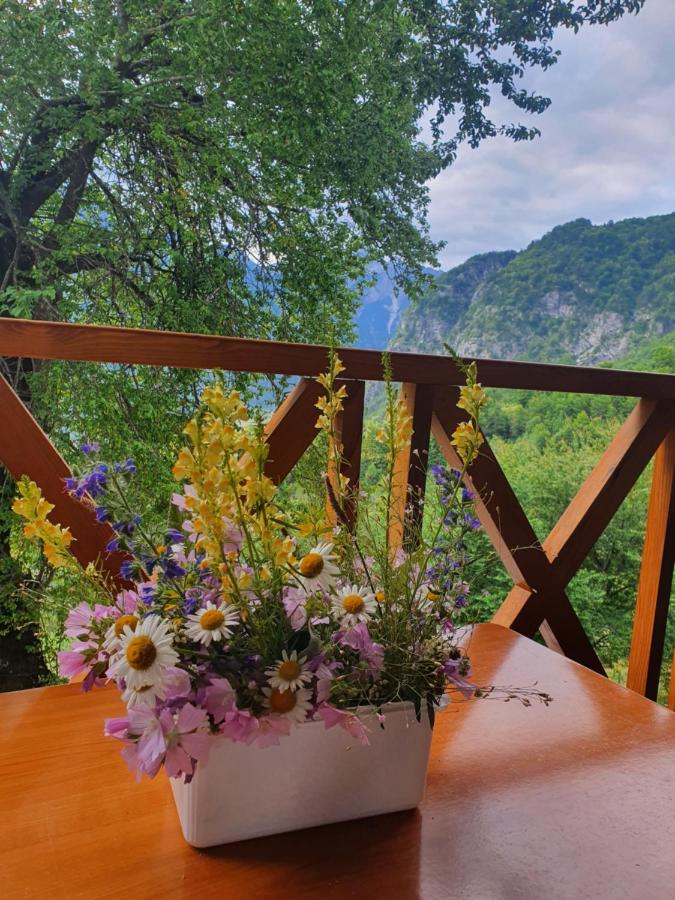 Villa Davisol - B&B