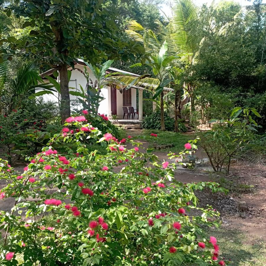 Sanjana Home Stay - B&B