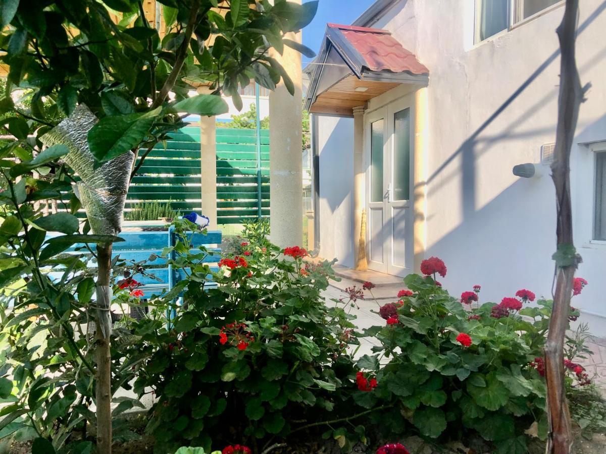 Баку приморский поселок Бузовна - Bed and Breakfast