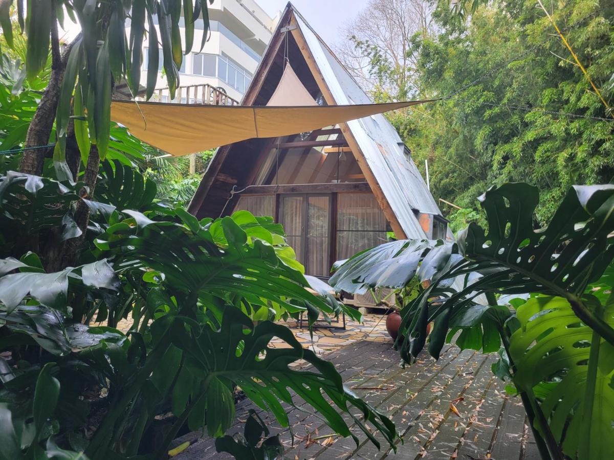 B&B Auckland - A-frame Studio in Parnell - Bed and Breakfast Auckland