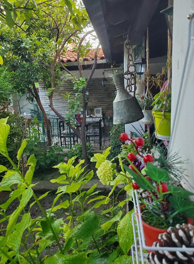 Unique Traditional House, hosted by J&G - B&B Tirana