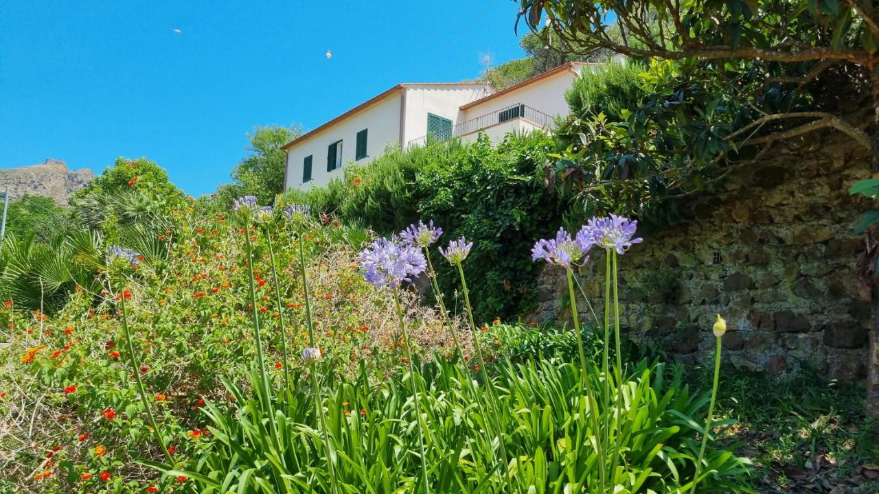 B&B Sant'Anna - Villa Podere I Cavalieri - Bed and Breakfast Sant'Anna